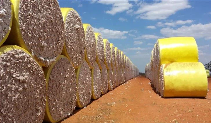 How to Store Cotton Baling Film Properly