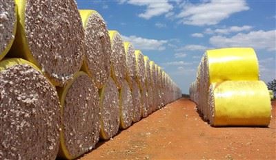 Cotton Wrap Film For Cotton Picker