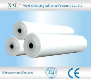 Hood Protector Film