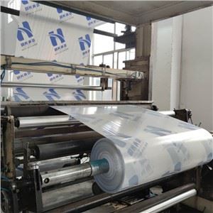 Adhesive Polyethylene Protective Film