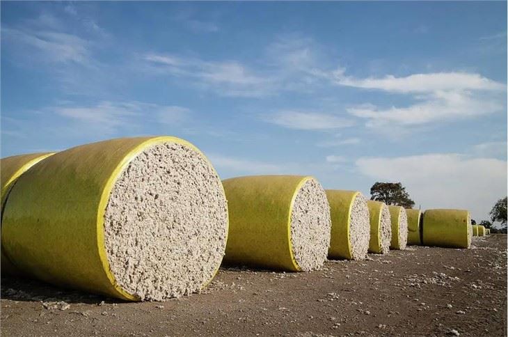 PE Special Film For Cotton Picker